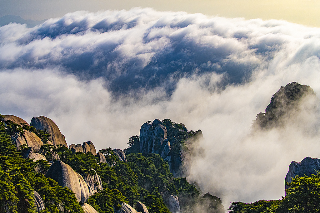 張永富3.jpg